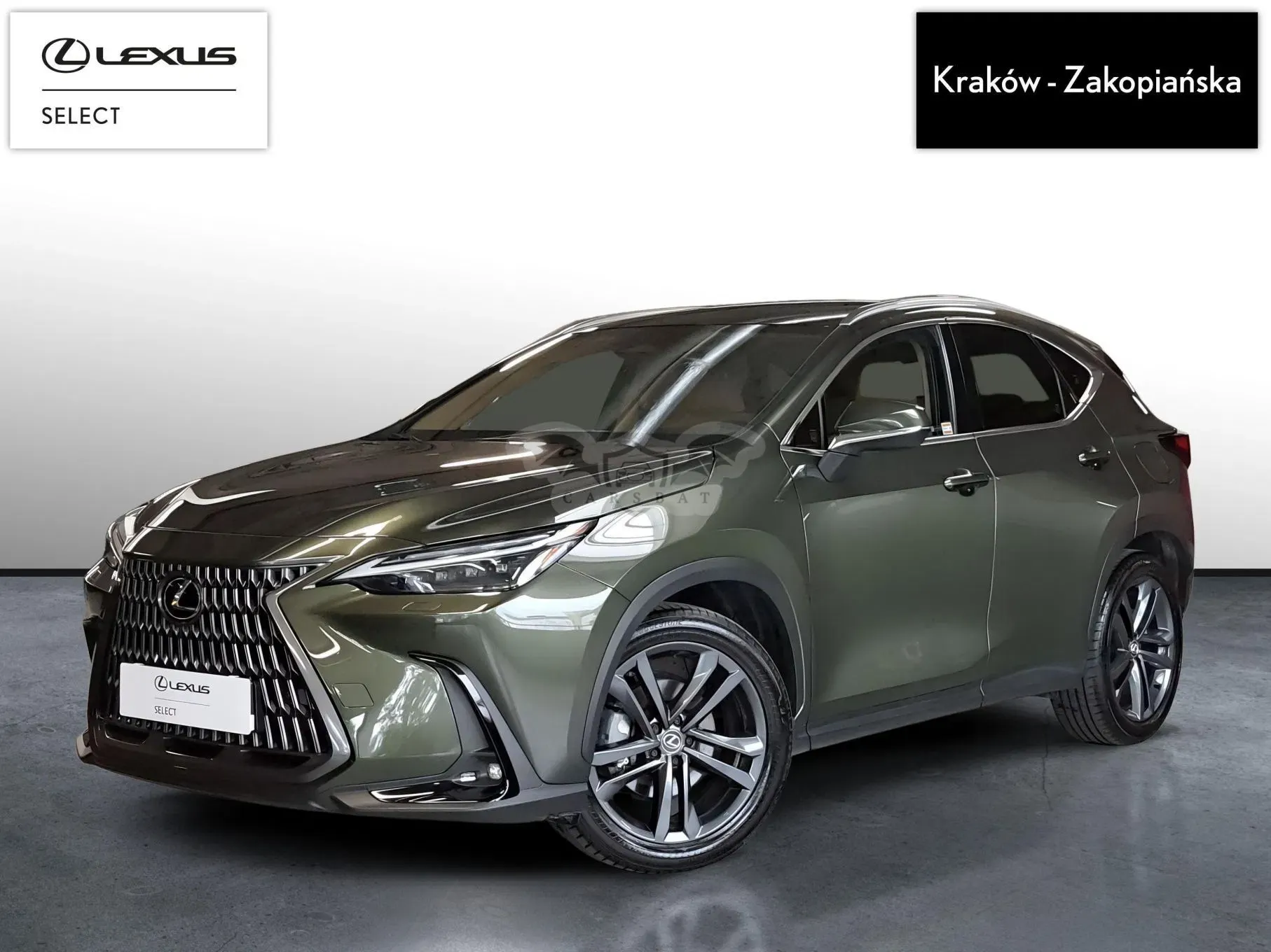 Lexus NX II (2021-) 350h Prestige AWD 2025