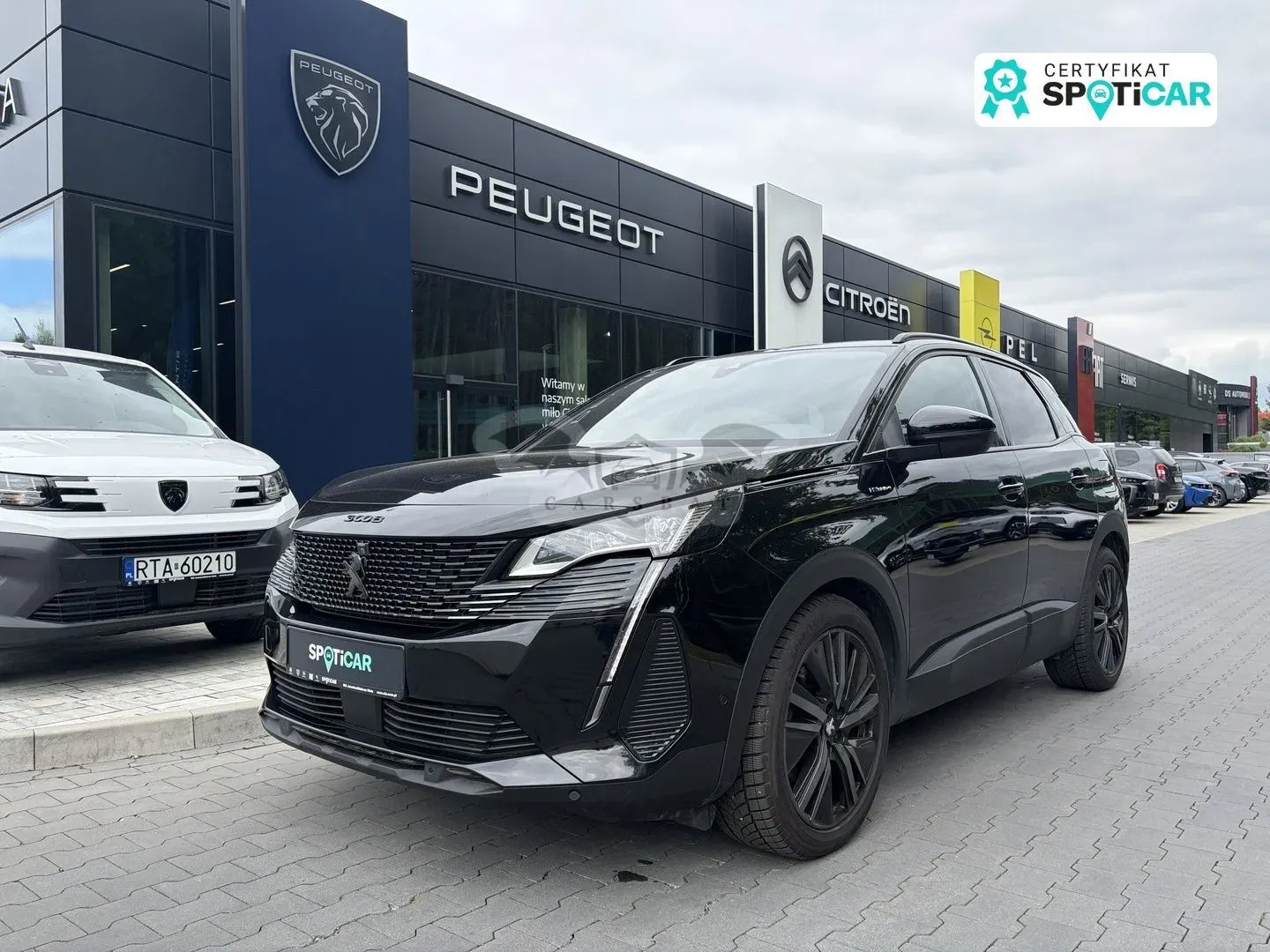 Peugeot 3008 II (2016-2024) 2022