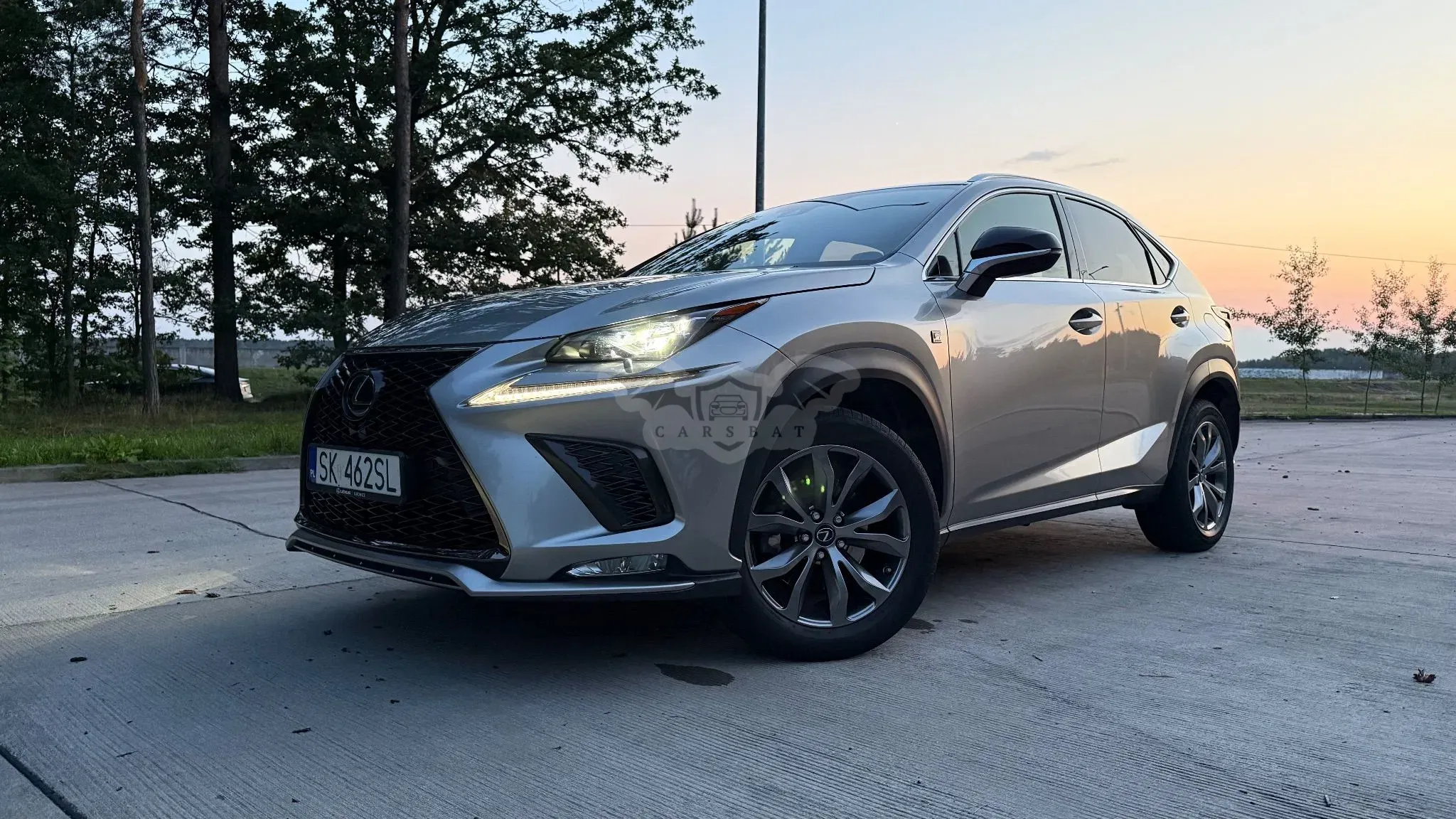 Lexus NX I (2014-2021) 300 F Sport AWD 2019