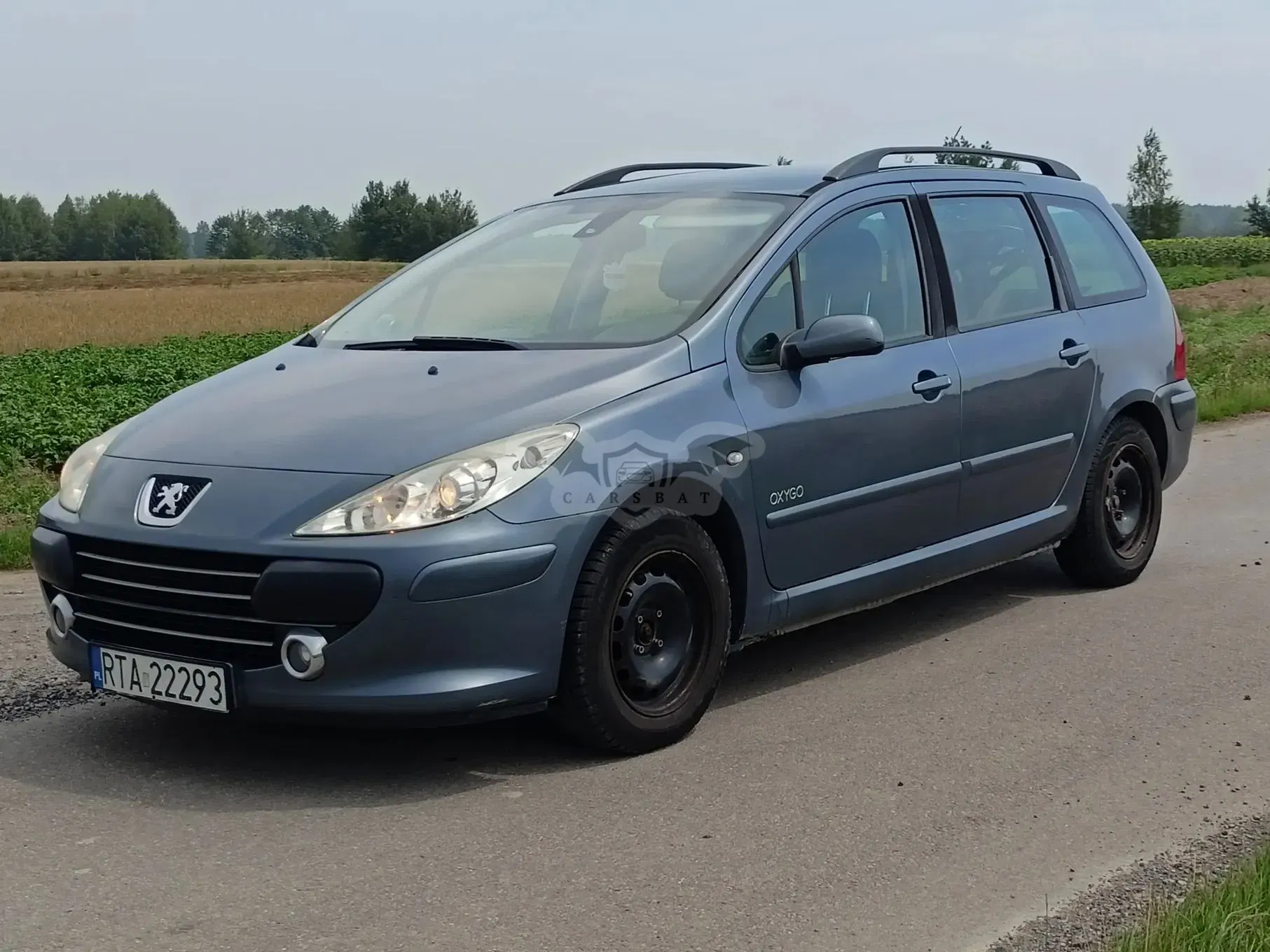 Peugeot 307 II (2005-) 1.6 HDI Oxygo 2003