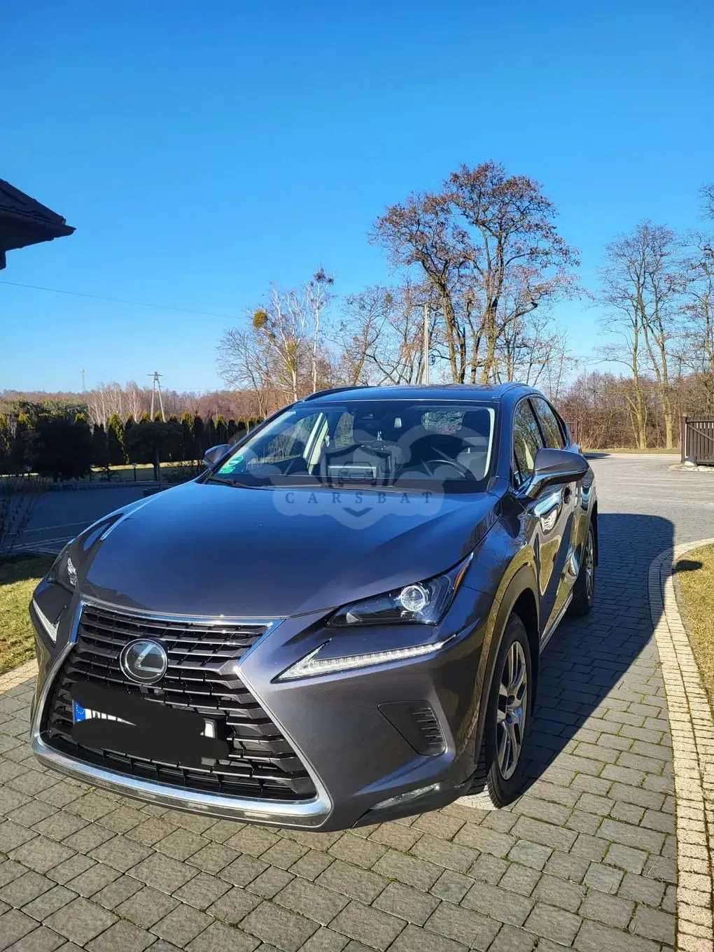 Lexus NX I (2014-2021) 300 Prestige AWD 2020