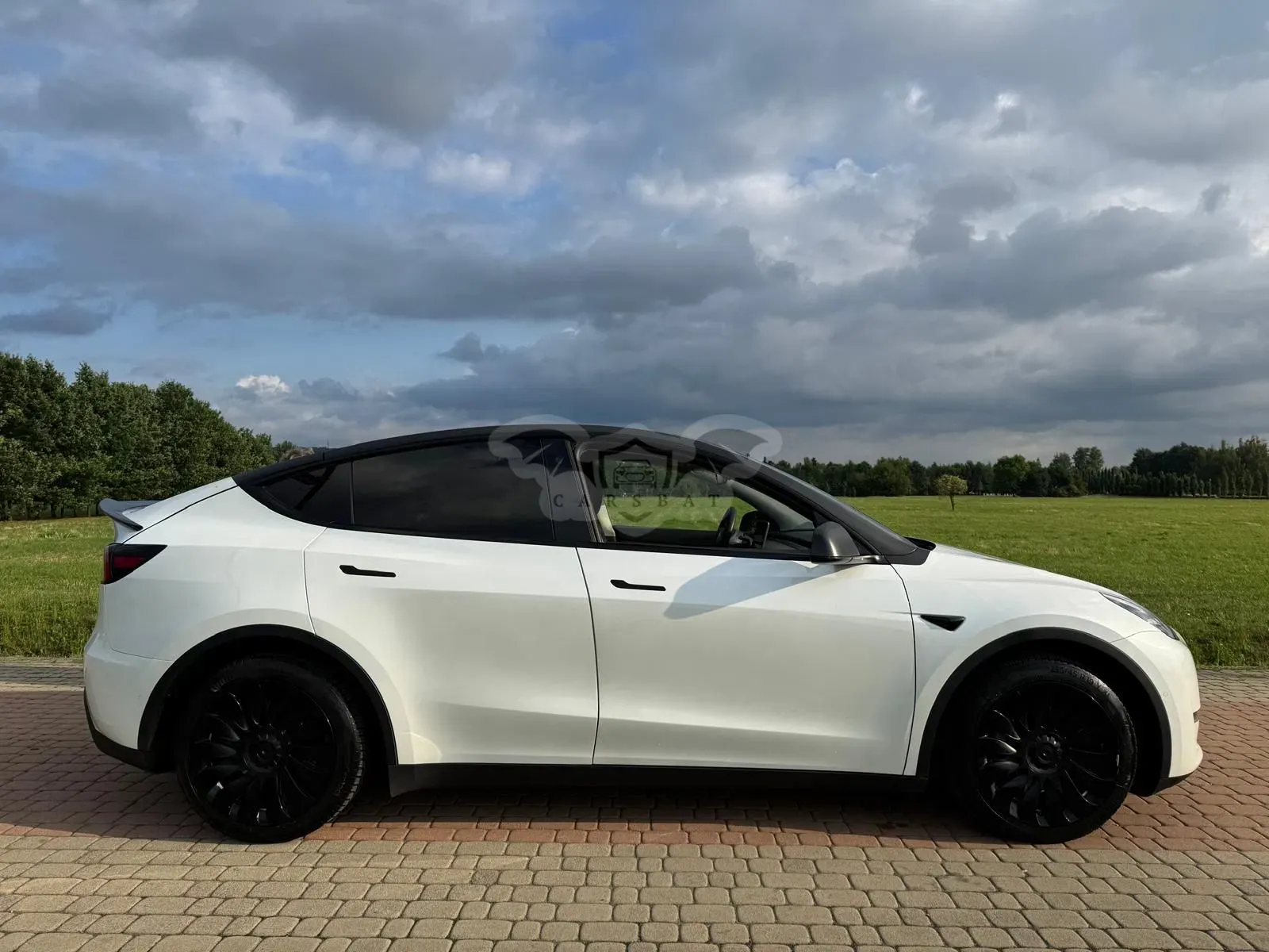 Tesla Model y 2021