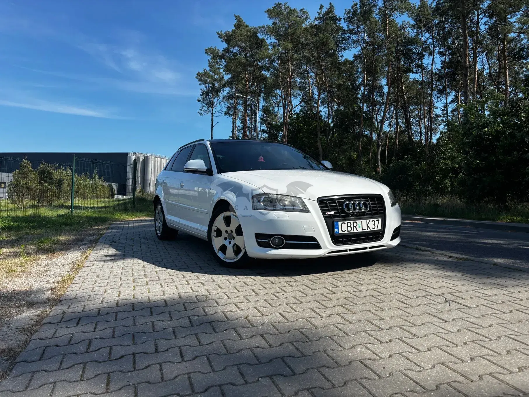 Audi A3 8P (2003-2012) 2.0 TDI DPF Attraction 2008