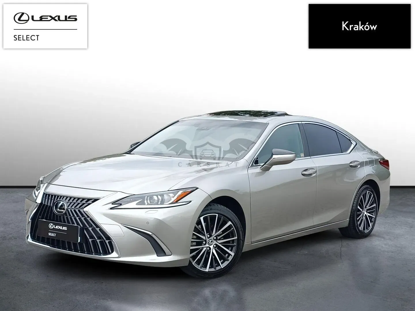 Lexus ES 300h Business Edition 2025