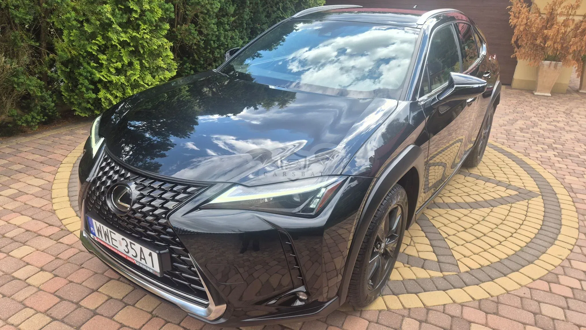 Lexus UX 250h Business Edition 2022