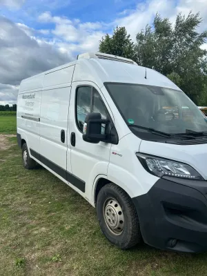 Fiat Ducato 2019