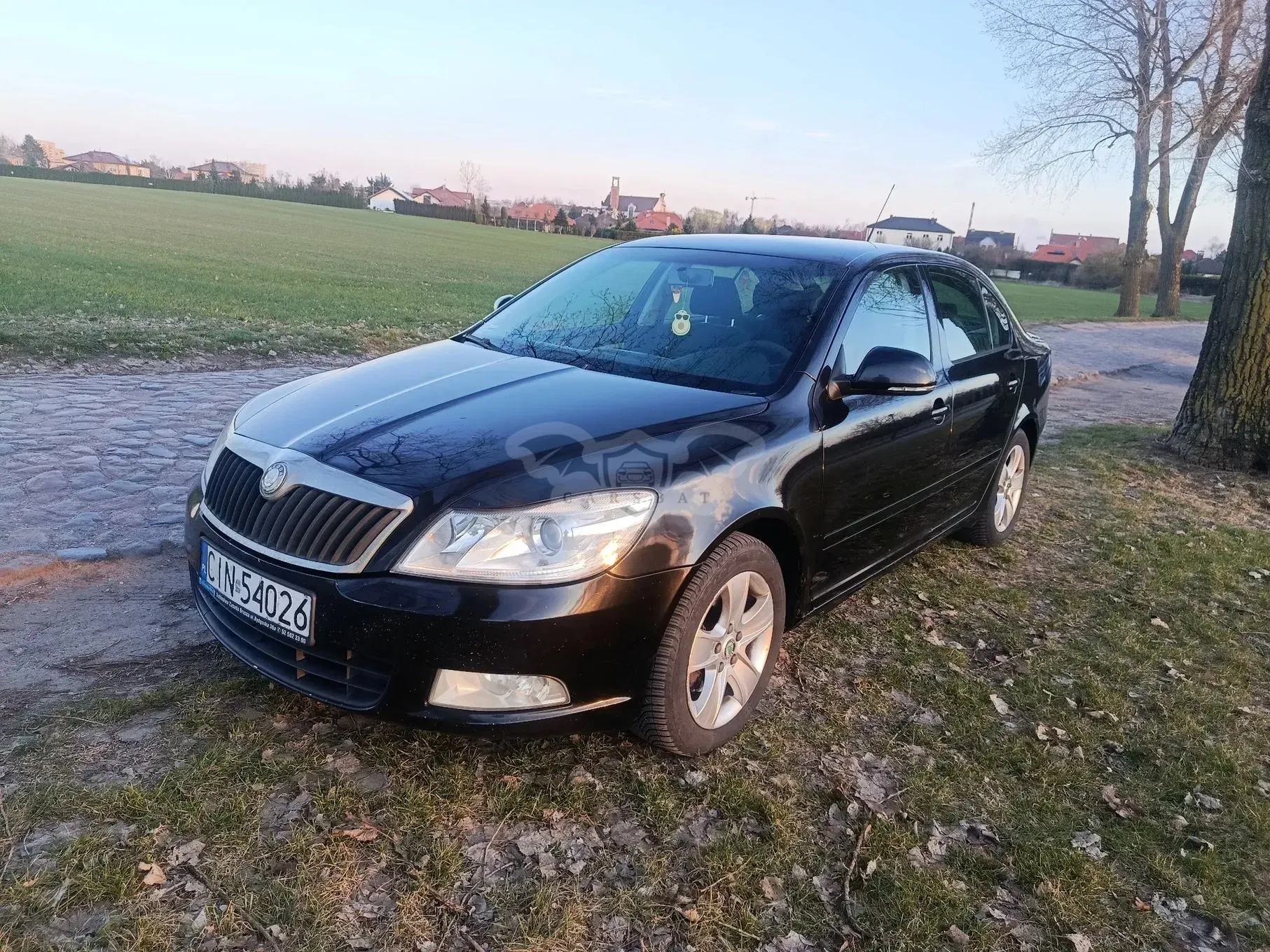 Skoda Octavia II (2004-2013) 2.0 TDI Elegance 2009