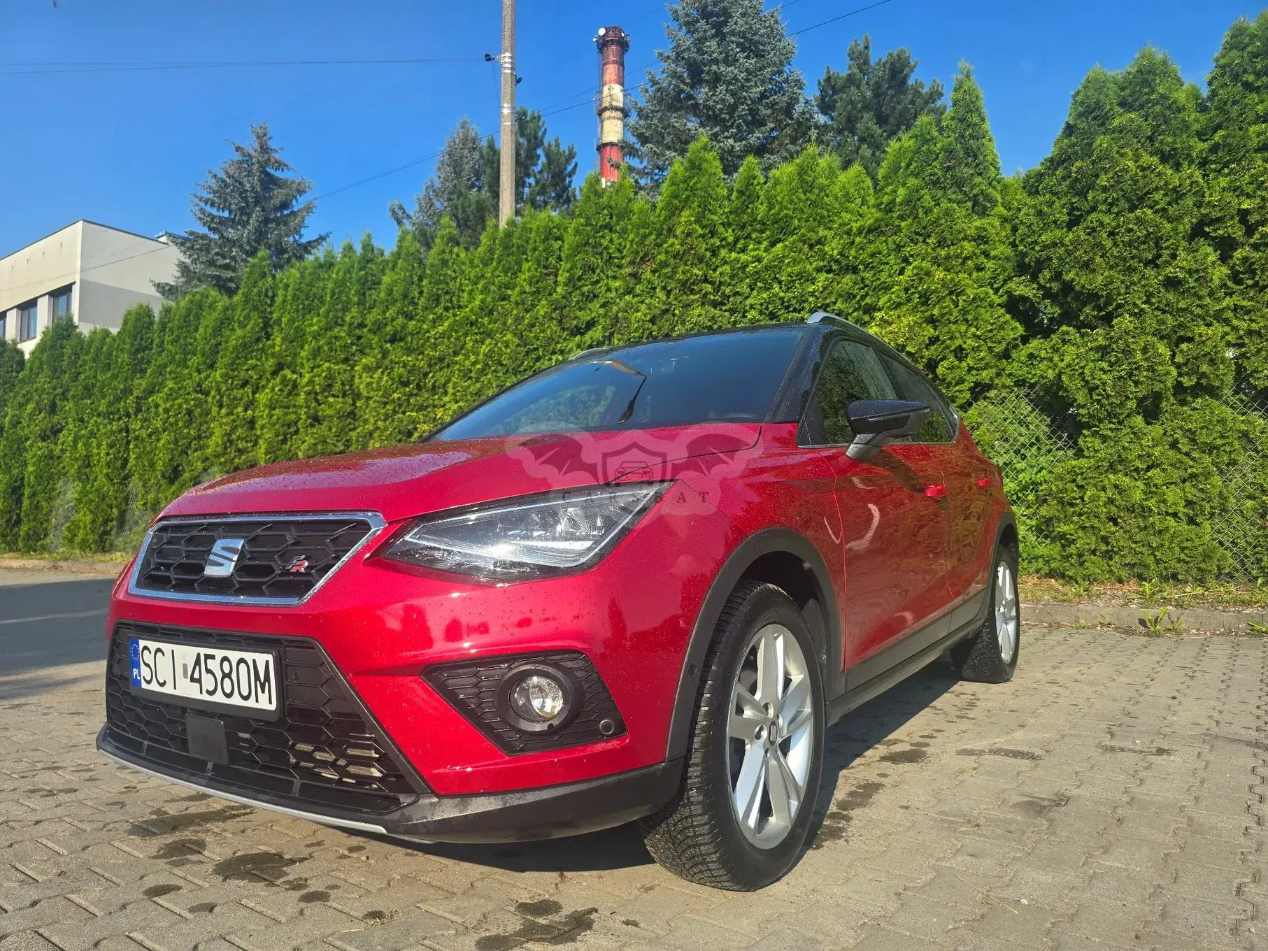 Seat Arona 1.0 TSI FR S&S DSG 2019