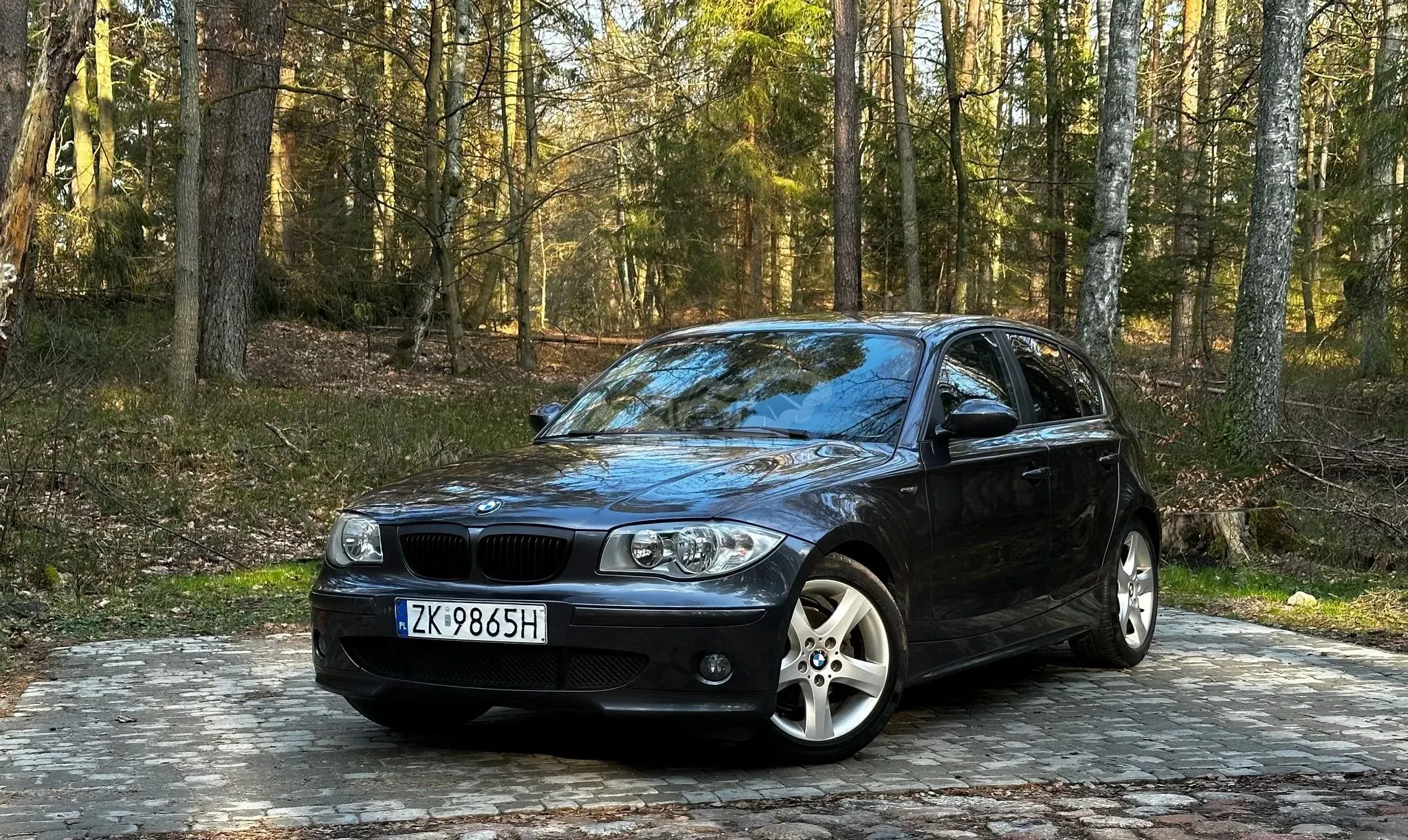 BMW 1 Series E81/E87 (2004-2013) 2004