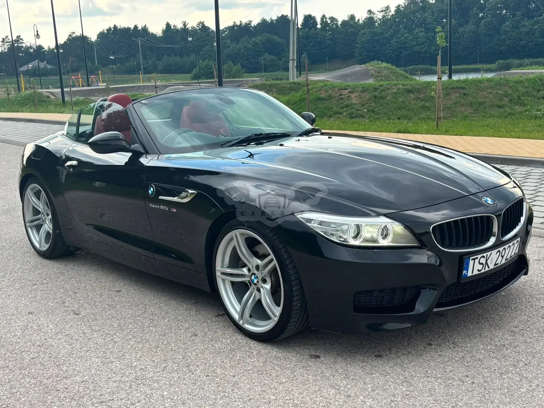 BMW Z4 E89 (2009–2016) sDrive30i 2010