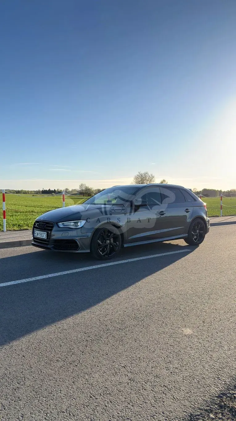Audi S3 8V (2012-2020) 2.0 TFSI Quattro S tronic 2015