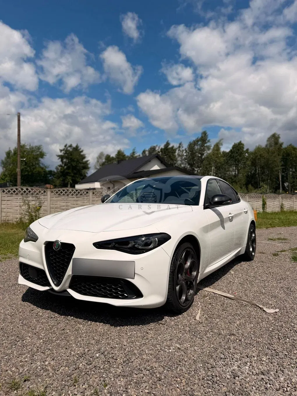 Alfa Romeo Giulia 2.0 Turbo Tributo Italiano Q4 2024