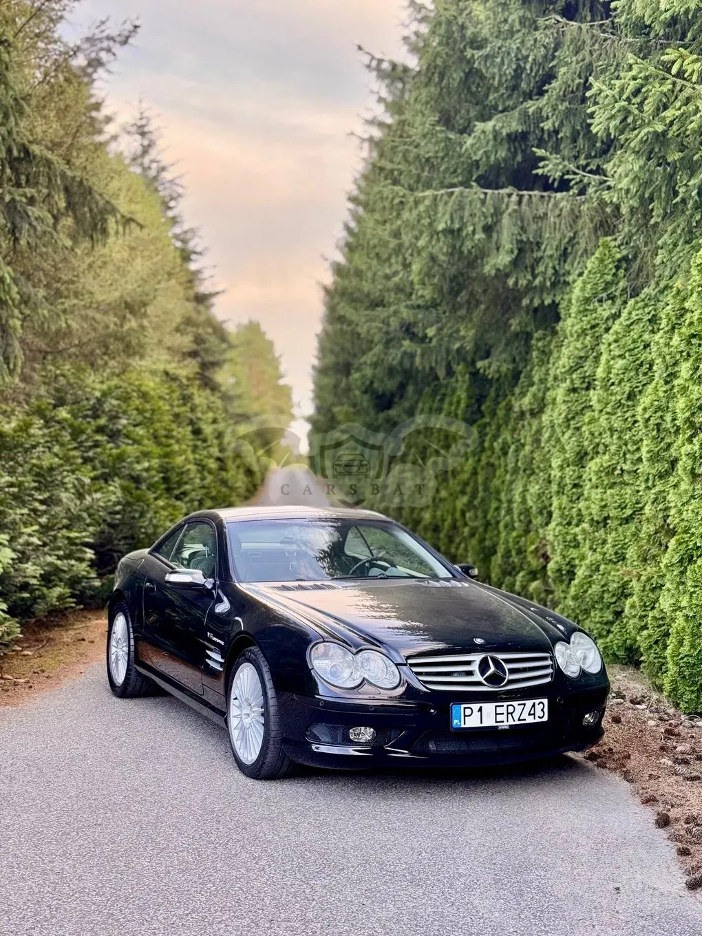Mercedes-Benz SL R230 (2001-2013) 2005