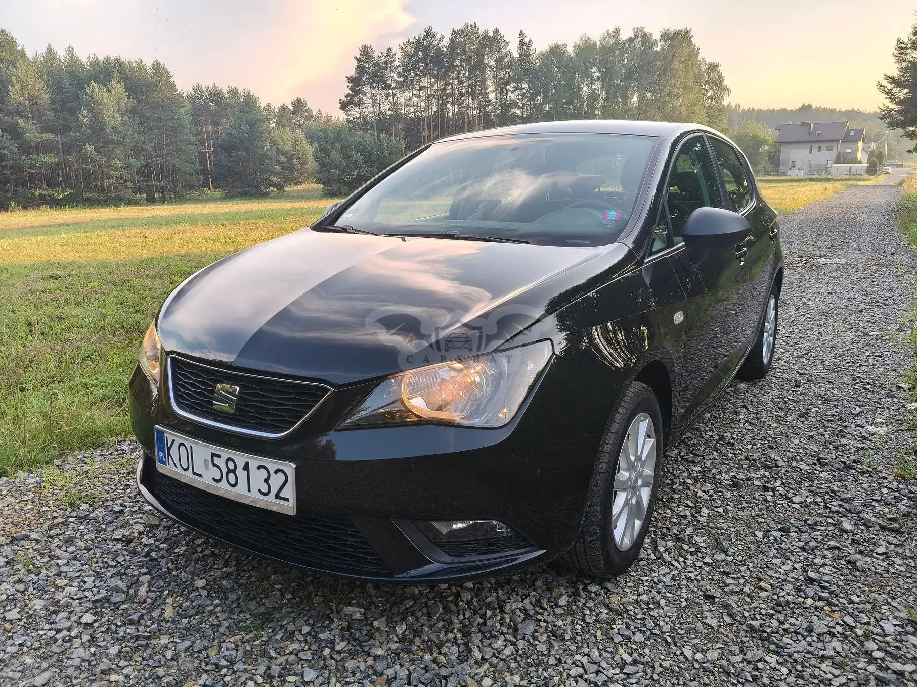 Seat Ibiza IV (2008-2017) 1.4 16V Style 2014