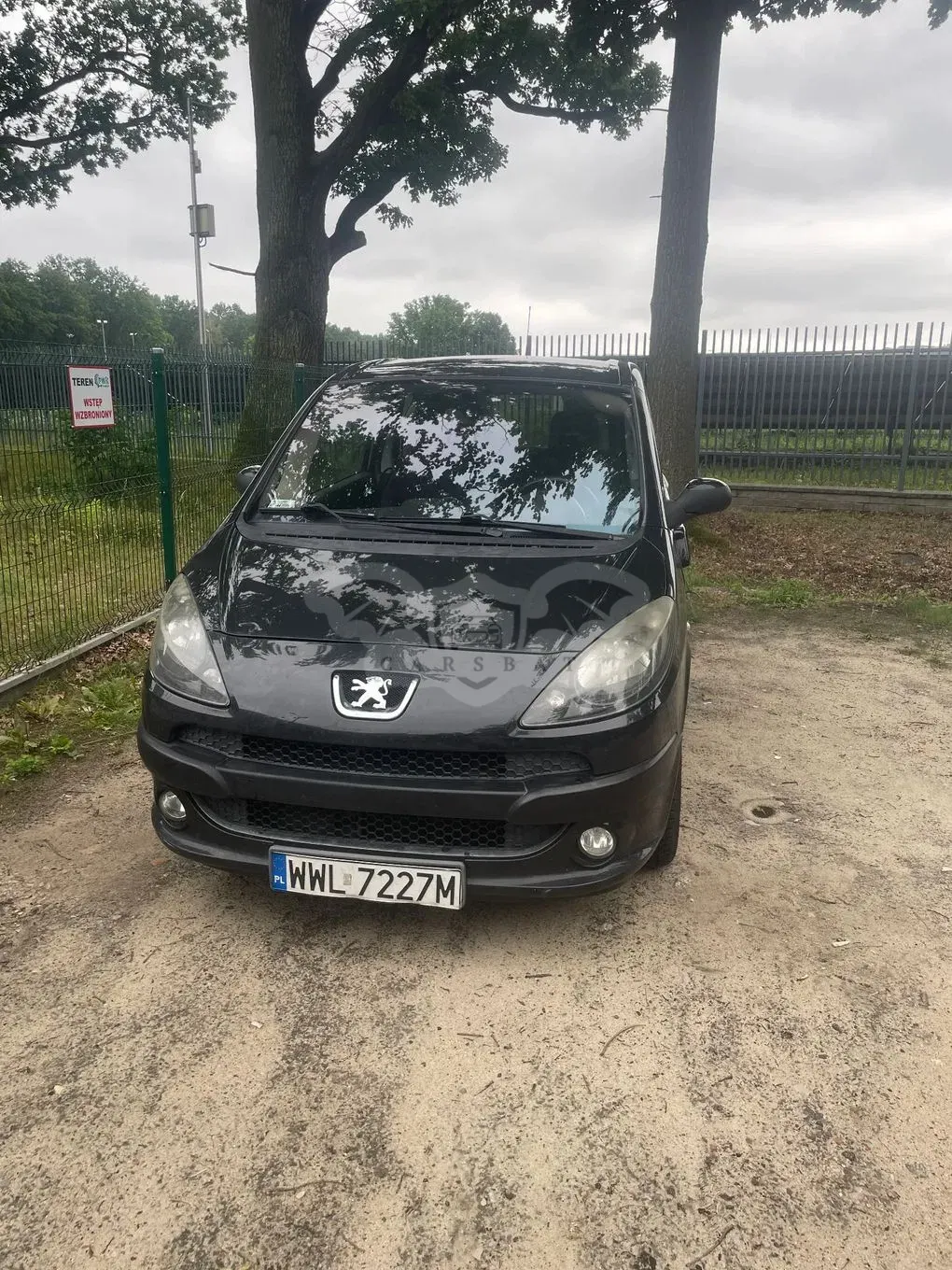 Peugeot 1007 1.6 Trendy 2-Tronic 2007