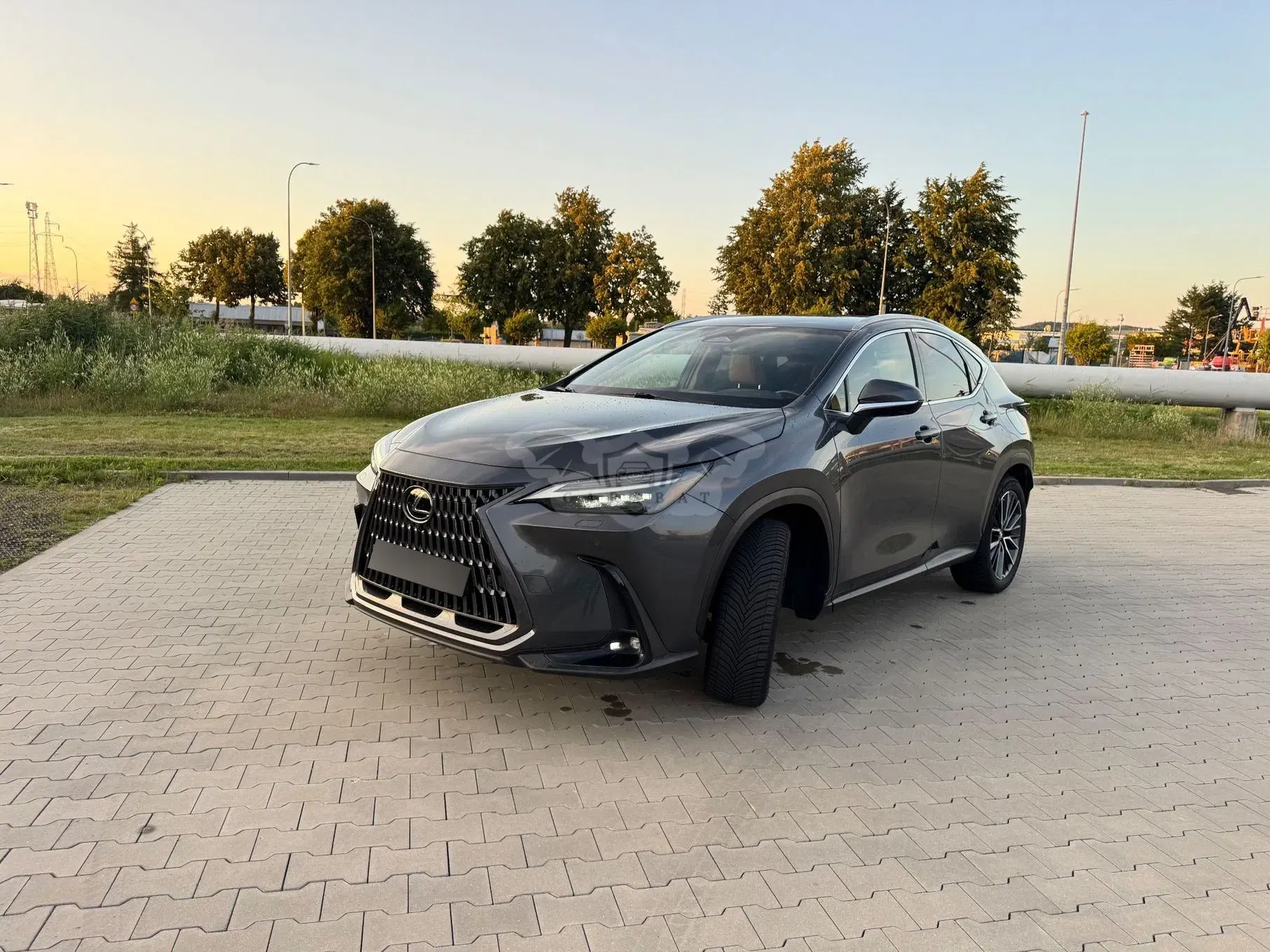 Lexus NX II (2021-) 350h Omotenashi AWD 2023