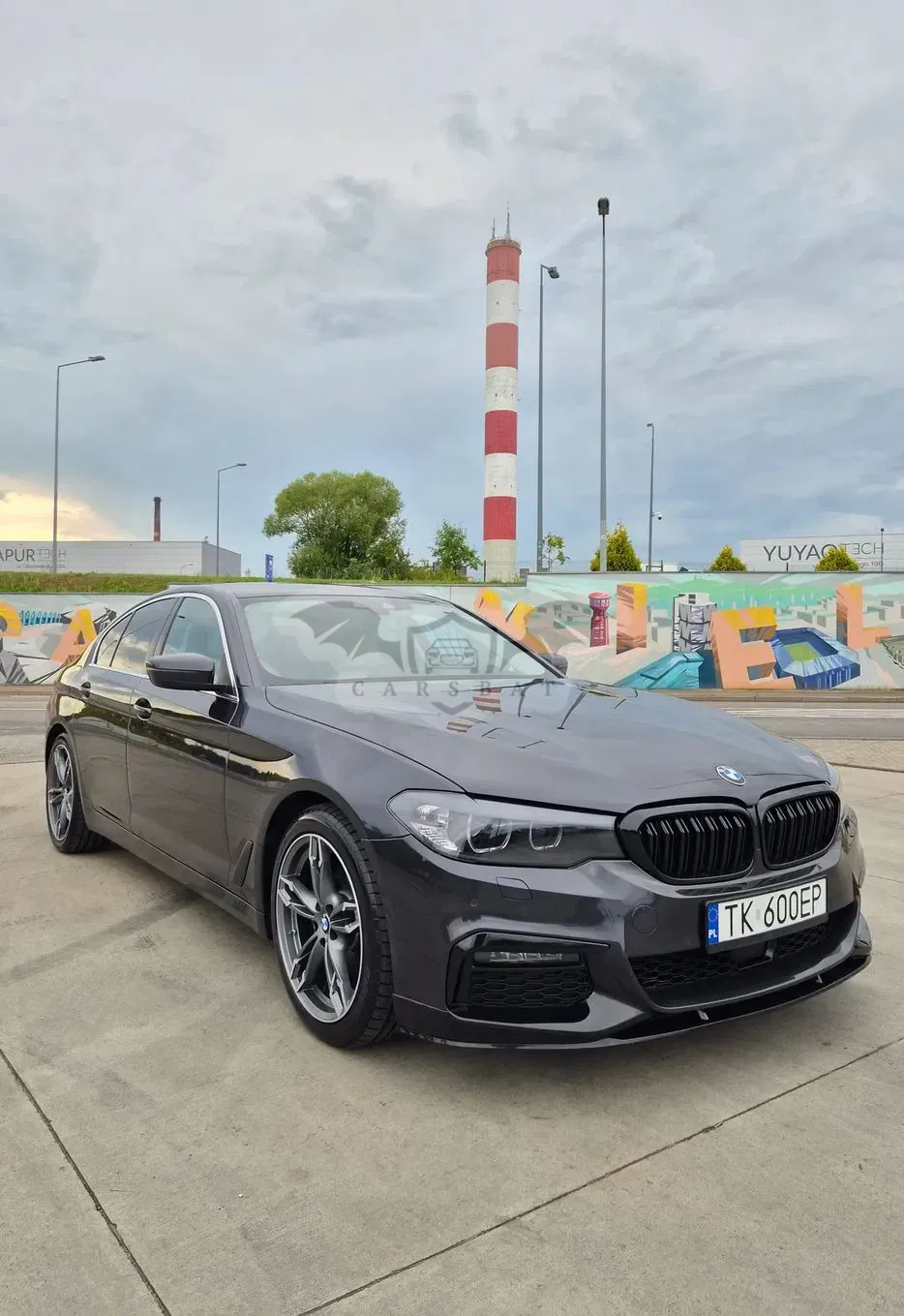 BMW 5 Series G30/G31 (2017-2023) 520d MHEV Luxury Line sport 2019