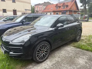 Porsche Cayenne III (2017-) Platinum Edition 2019