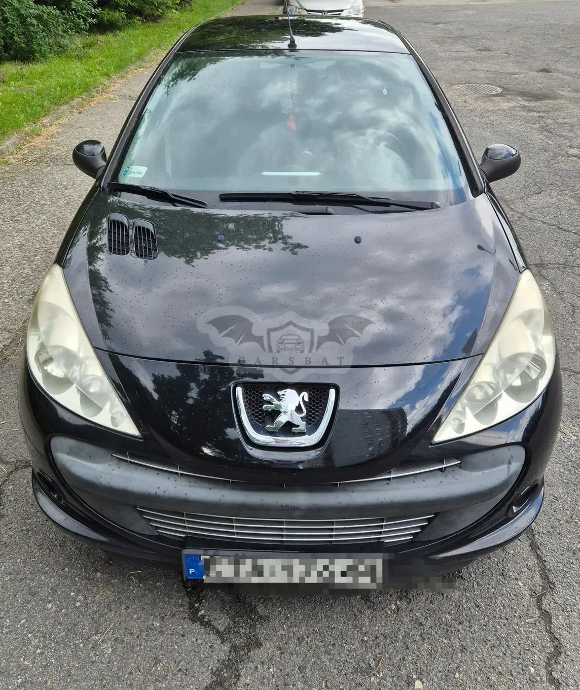 Peugeot 206 2010