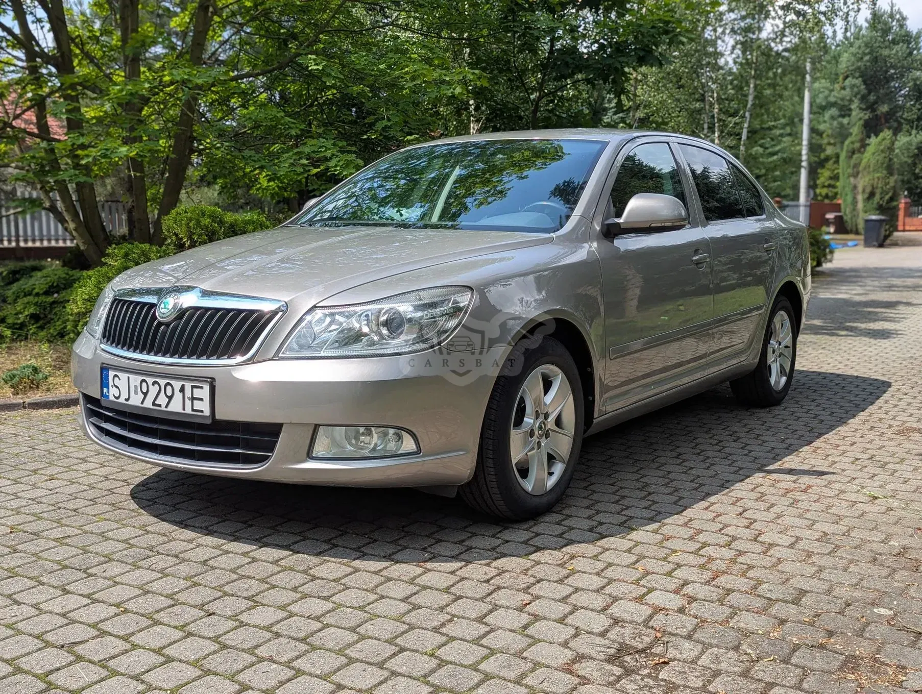 Skoda Octavia II (2004-2013) 2.0 TDI Elegance DSG 2010