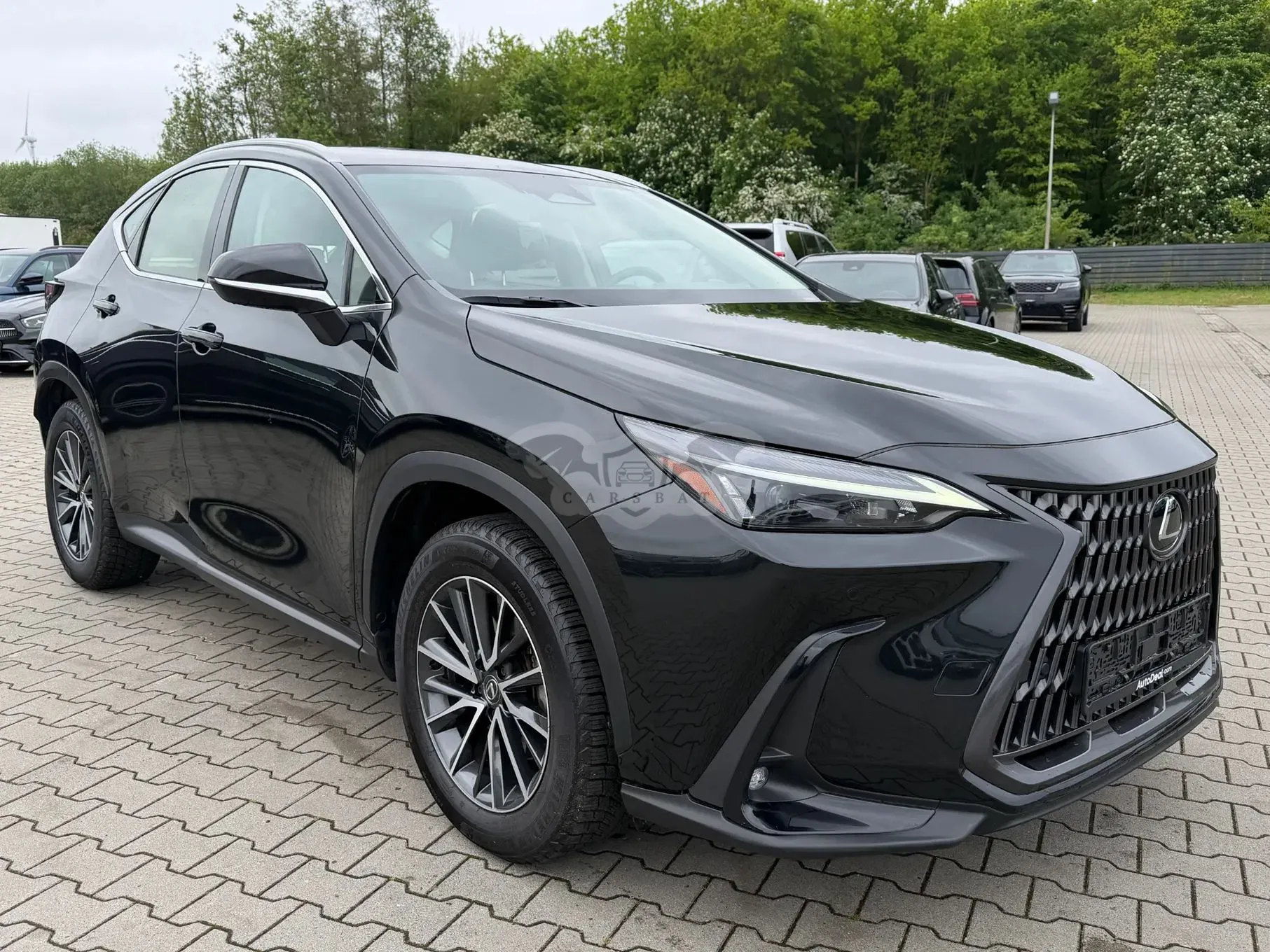 Lexus NX II (2021-) 2023