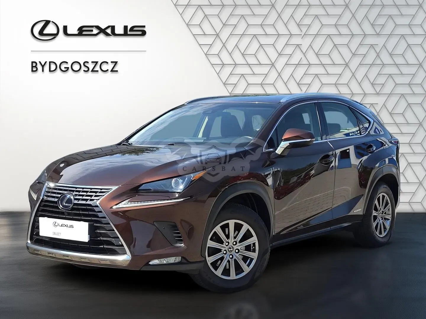 Lexus NX I (2014-2021) 300h Elegance AWD 2018