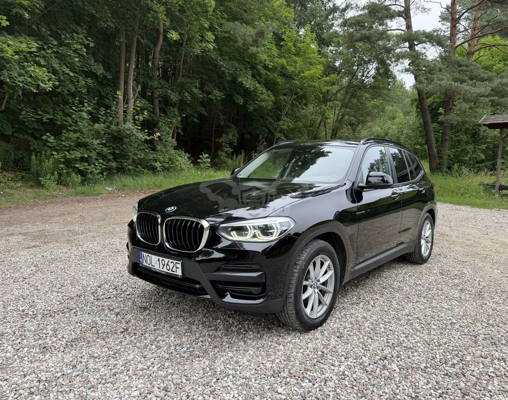 BMW X3 G01 (2017-) xDrive20d Advantage 2019