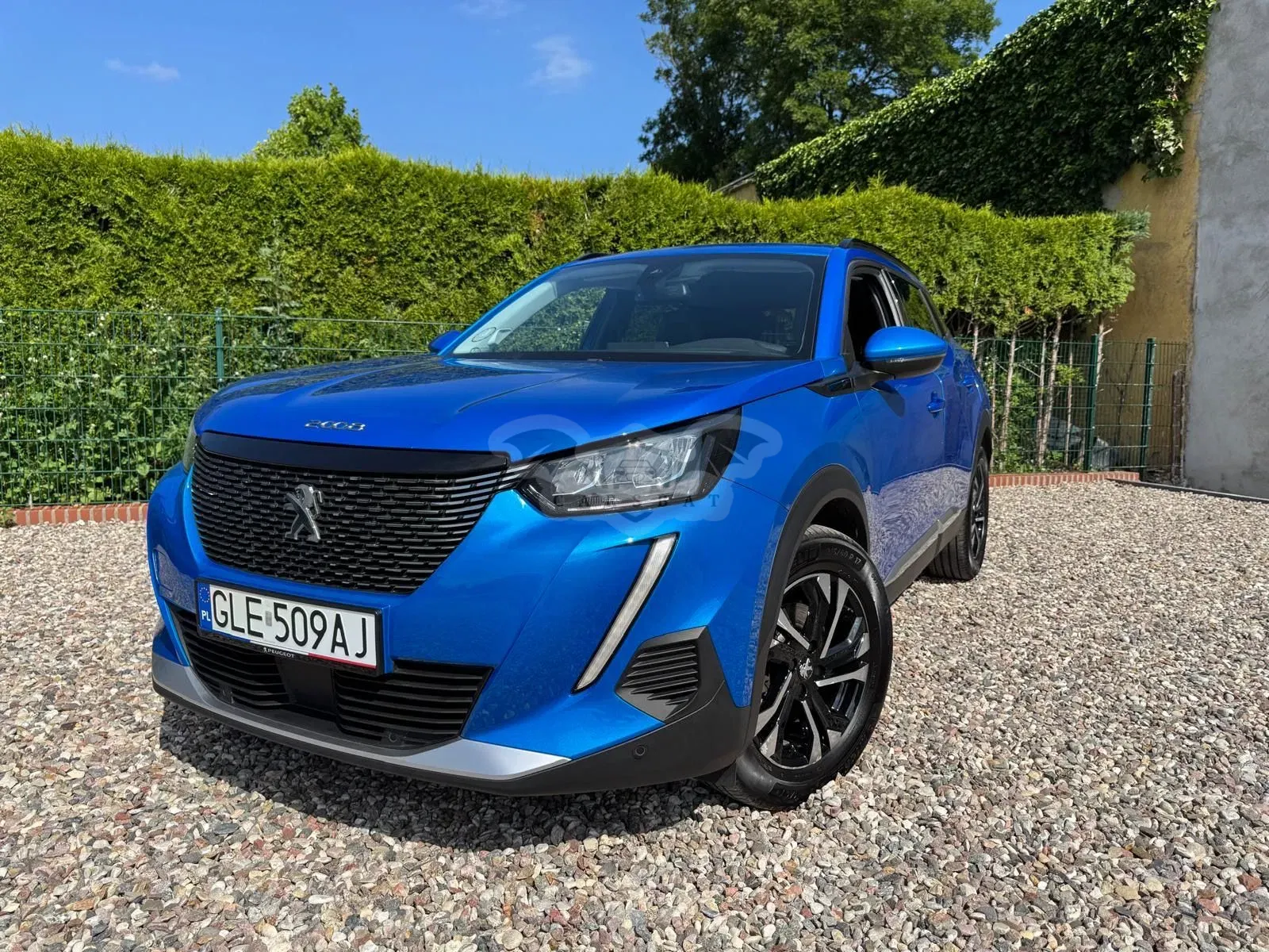Peugeot 2008 II (2019-) 1.5 BlueHDi GT S&S EAT8 2020
