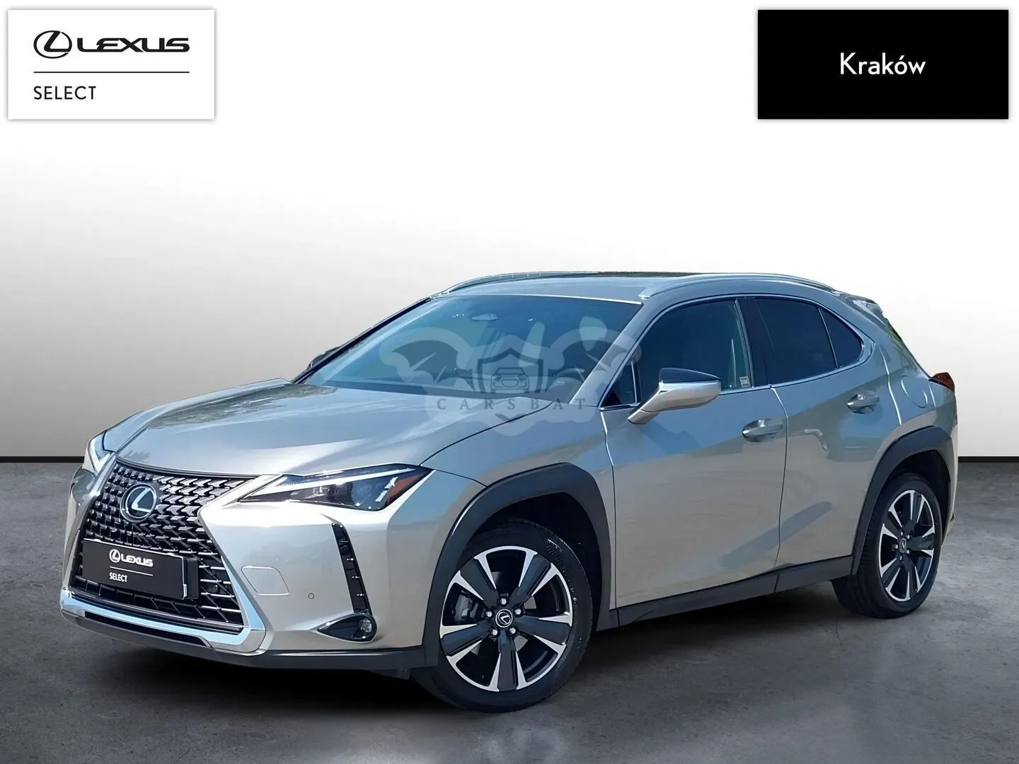 Lexus UX 300h Business 2025