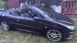 Peugeot 206 1.6 Euro3 2004