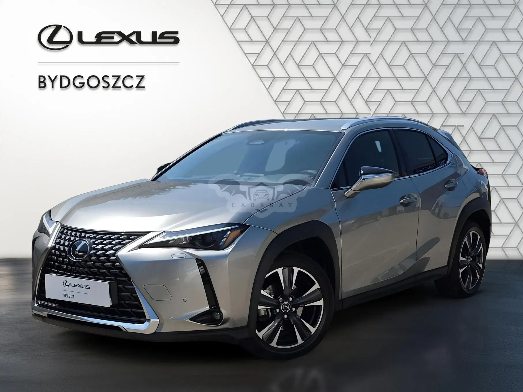 Lexus UX 300h Business 2024