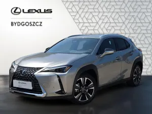 Lexus UX 300h Business 2024