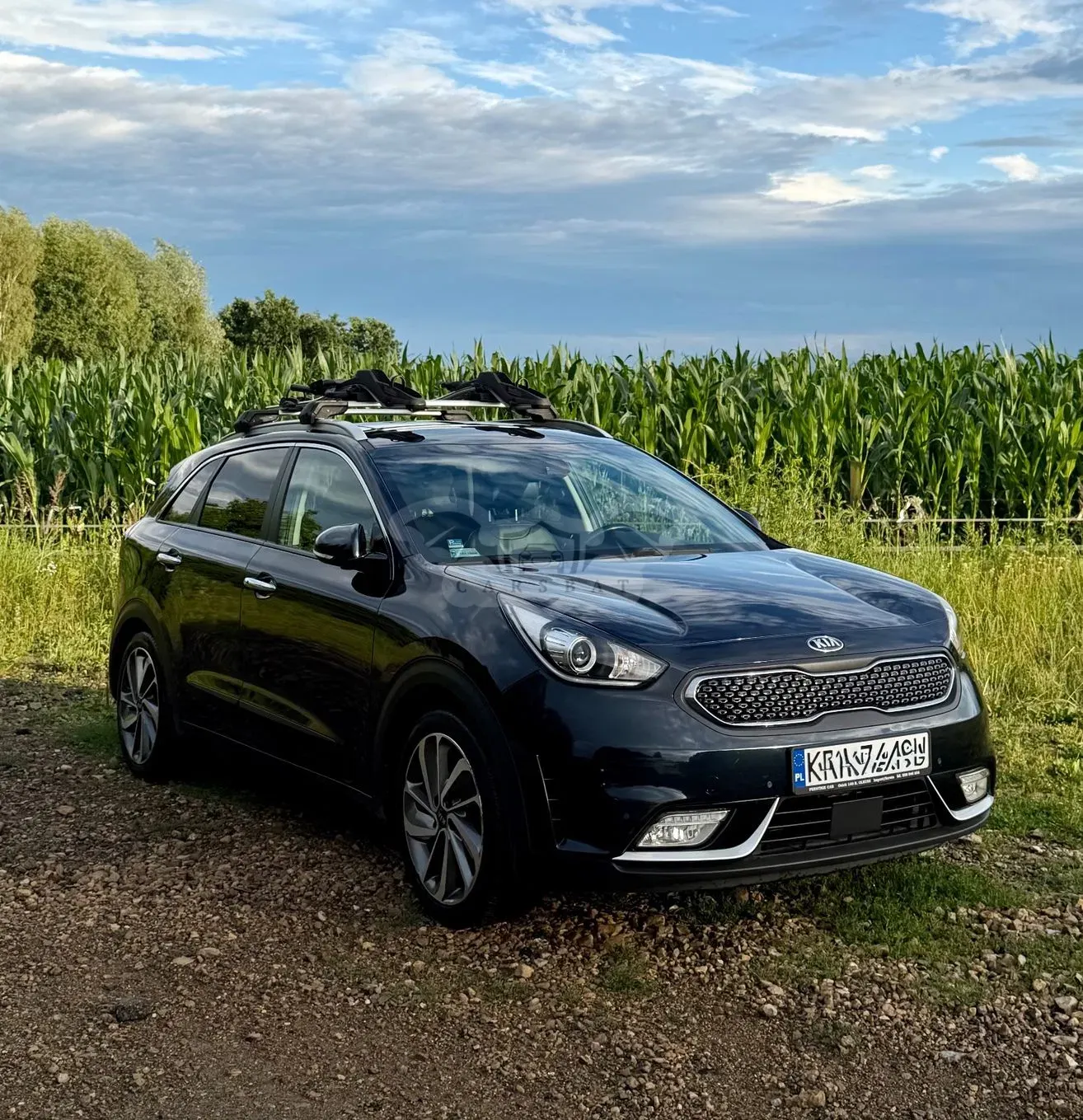 Kia Niro 1.6 GDI Hybrid XL 2017
