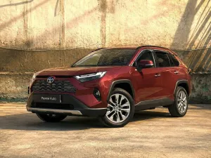 Toyota Rav4 V (2018-) 2.5 Hybrid Executive 4x2 2021