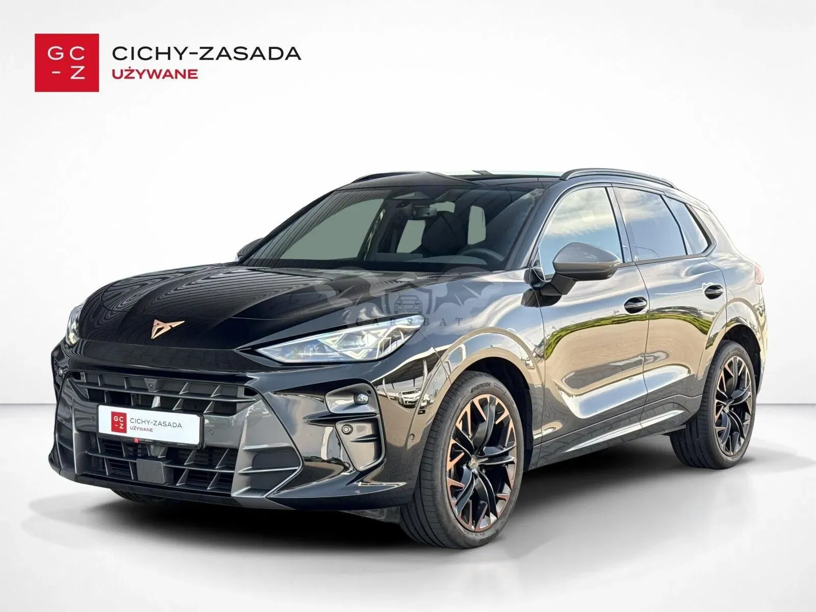 Cupra Terramar 2.0 TSI 4Drive DSG 2025