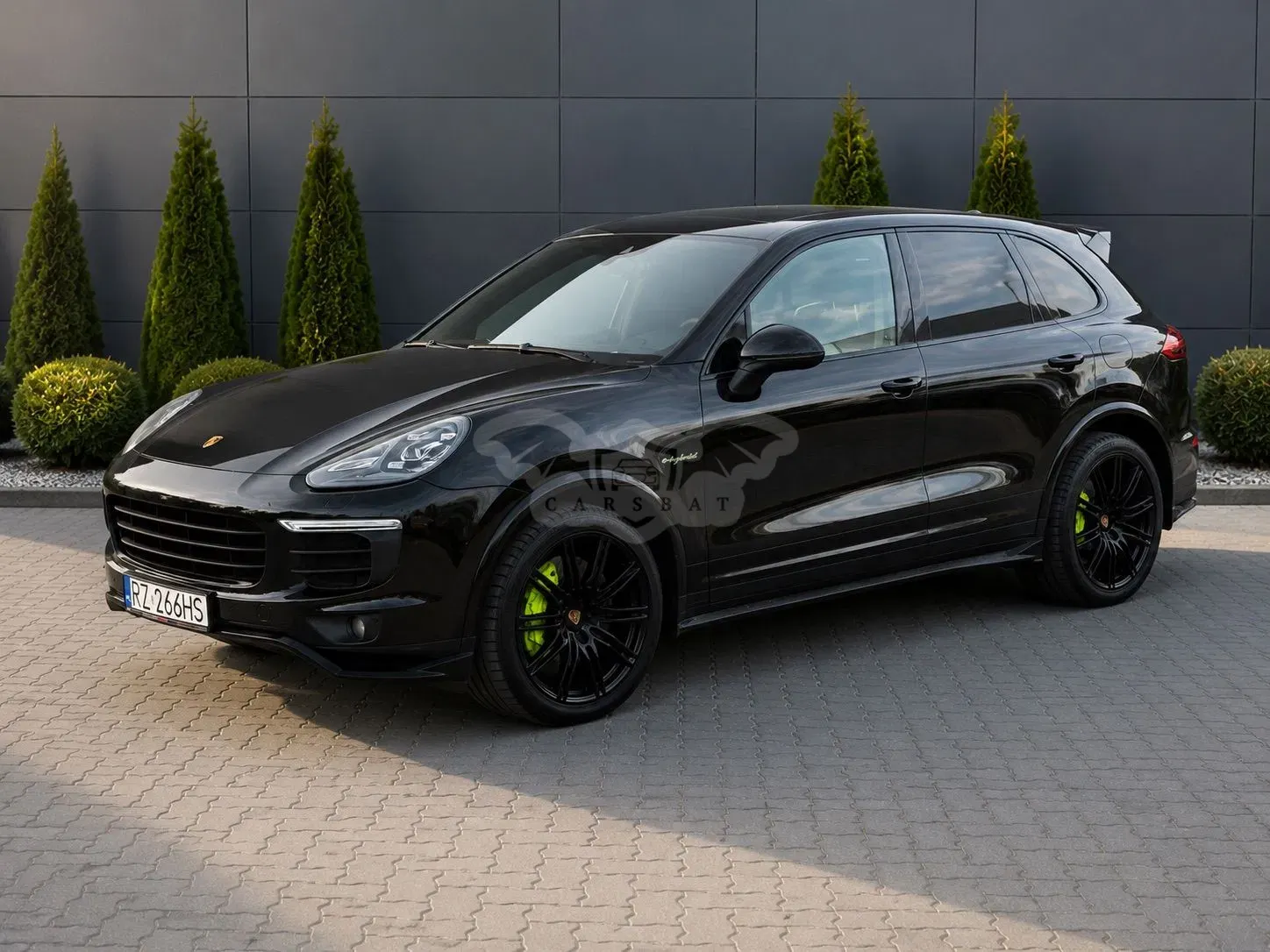 Porsche Cayenne II (2010-2017) Platinum Edition 2017