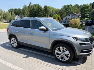 Skoda Kodiaq I (2016-2024) 2.0 TSI 4x4 Business DSG 2019