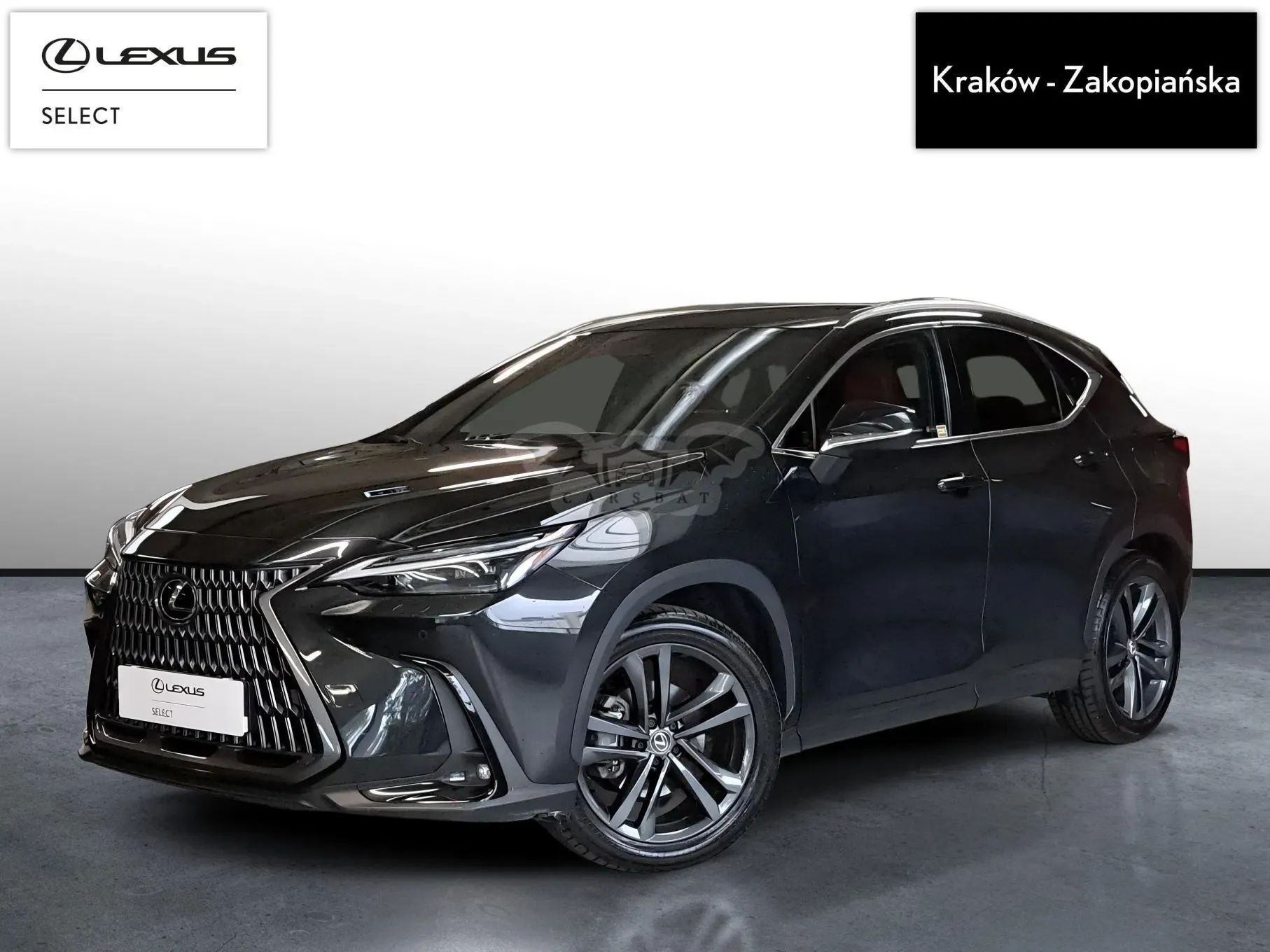 Lexus NX II (2021-) 350h Prestige AWD 2024