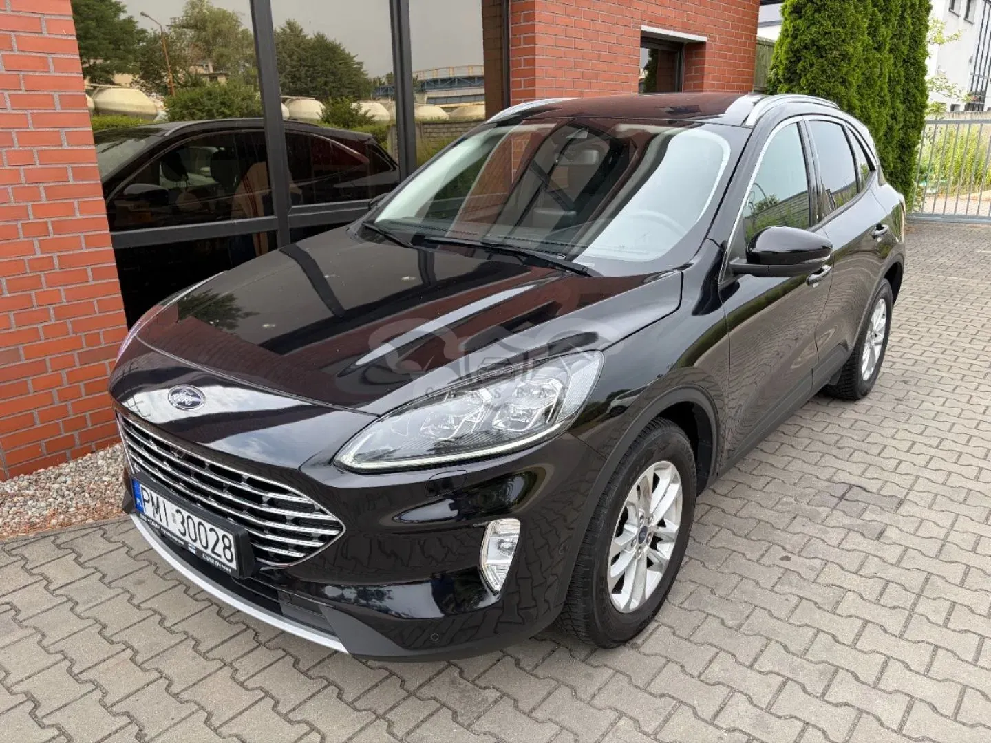 Ford Kuga III (2019 - ) 1.5 EcoBlue TITANIUM 2023