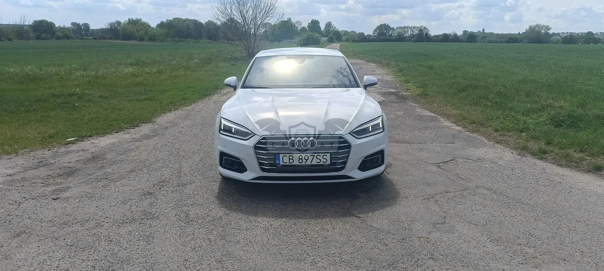 Audi A5 F5 (2016-2024) 45 TFSI mHEV Quattro S Line S tronic 2019