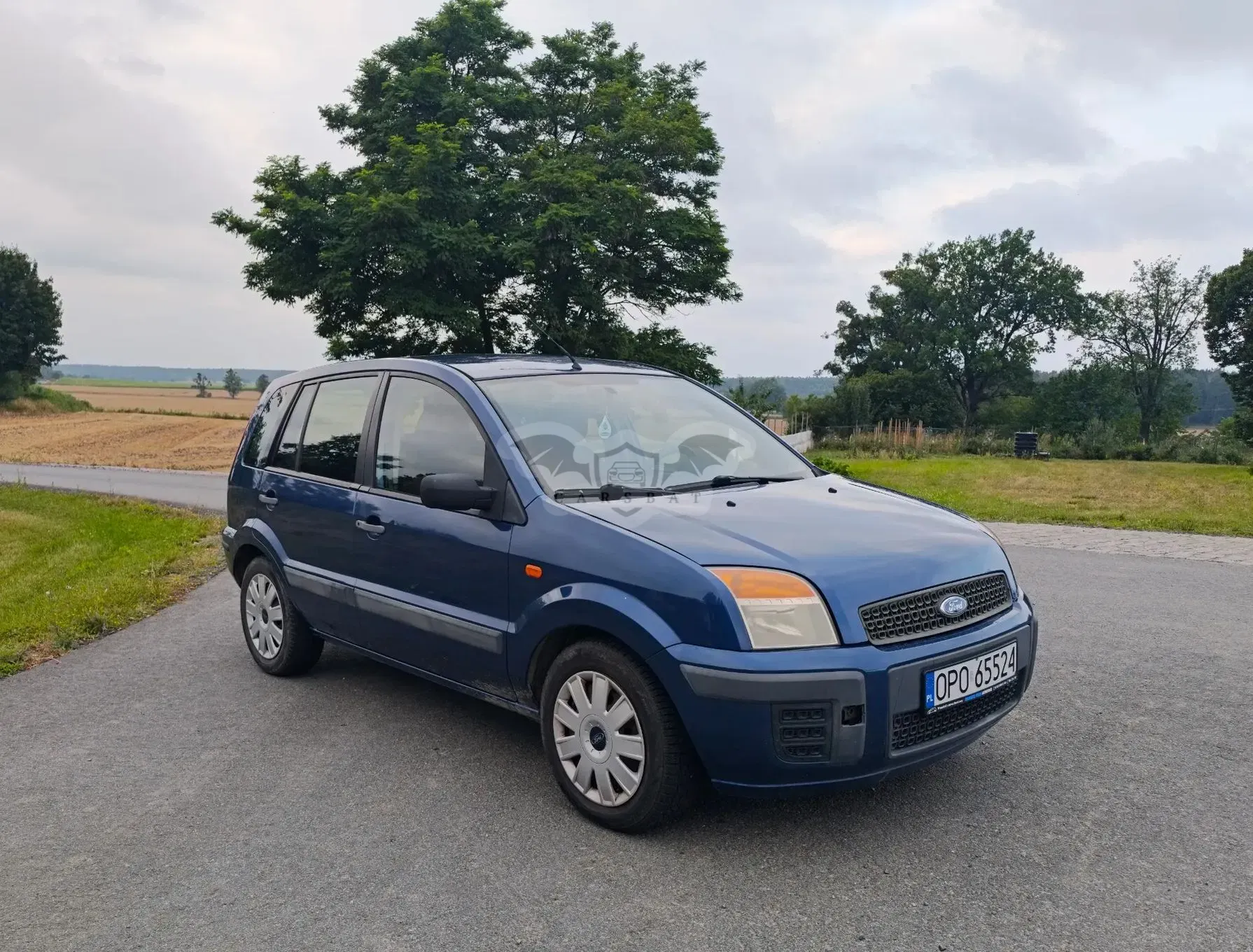 Ford Fusion 1.4 Trend X100 / FX Gold 2006