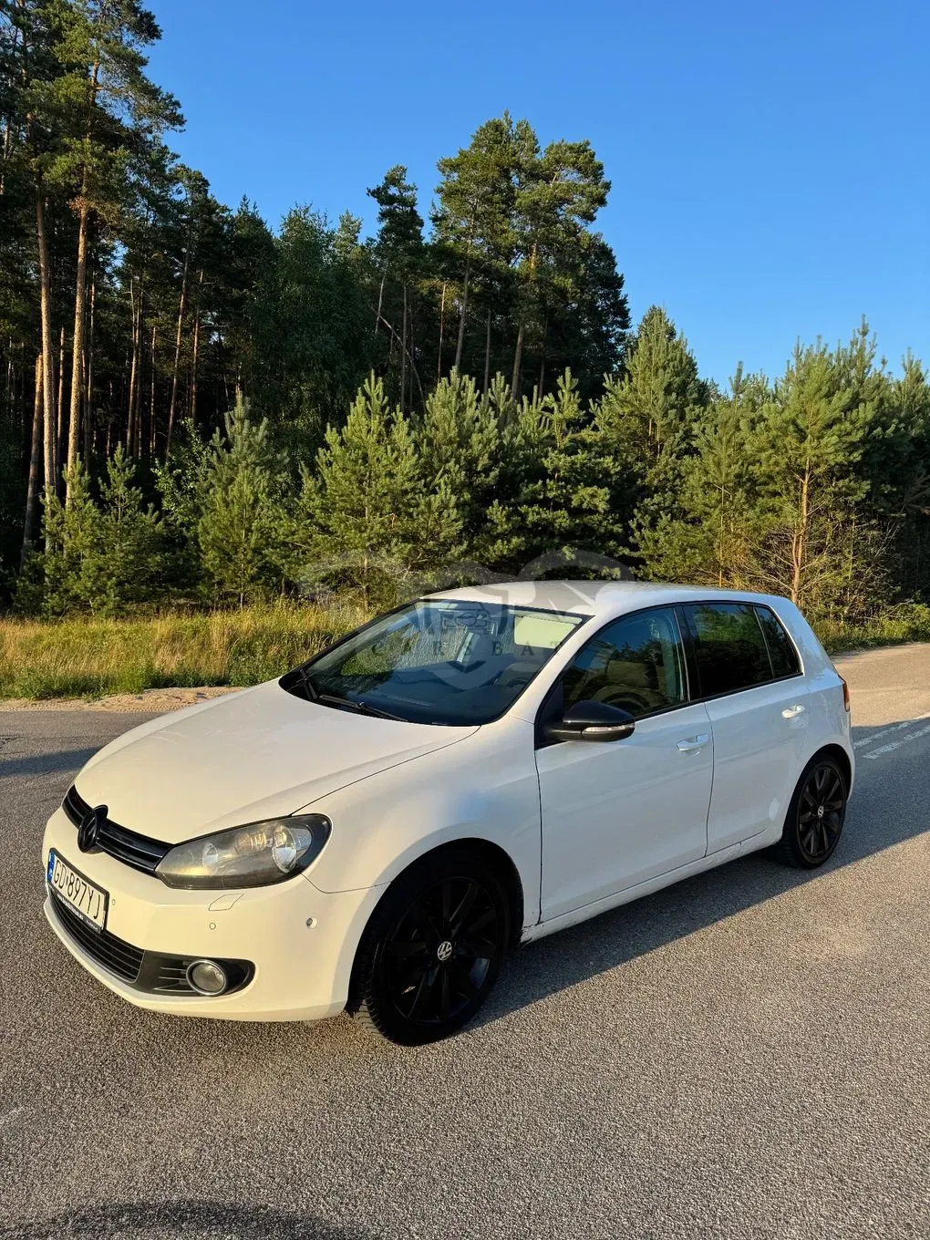 Volkswagen Golf VI (2008-2013) 2.0 TDI Highline 2008