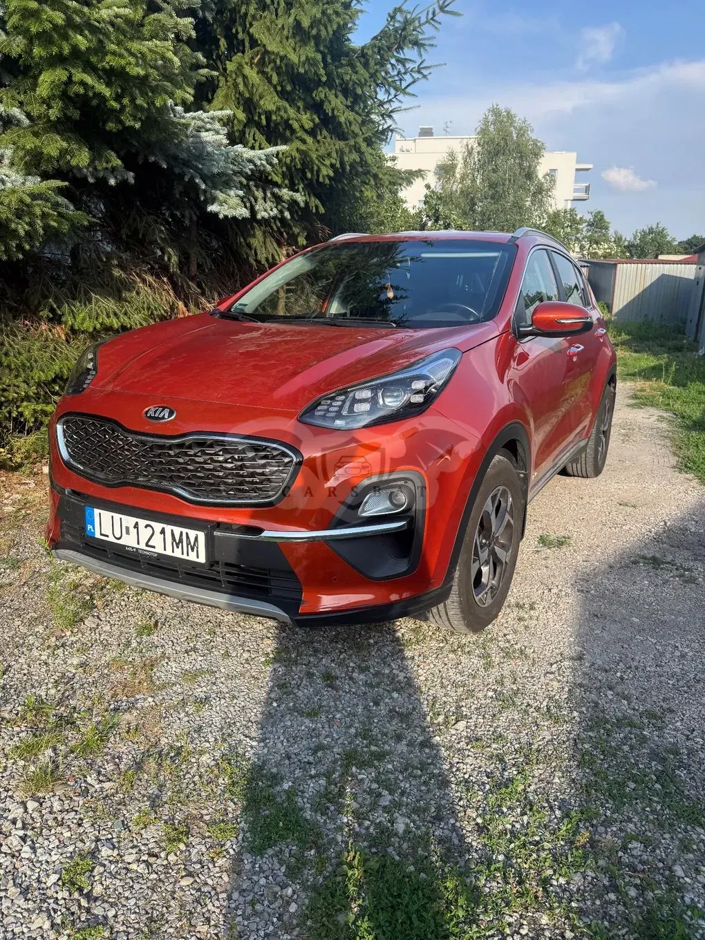 Kia Sportage V (2021-) 1.6 CRDI MHEV L Business Line 4WD 2021