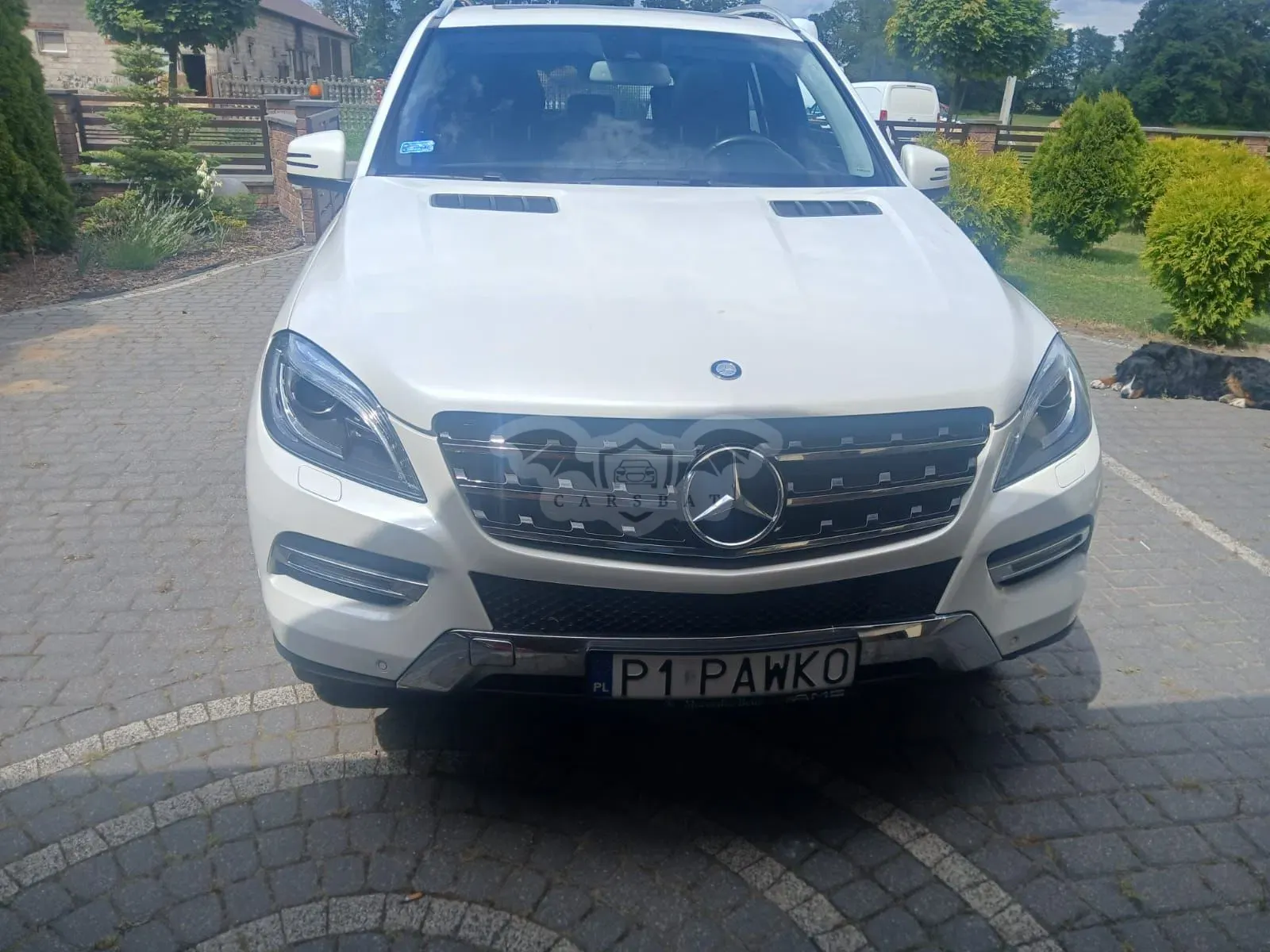 Mercedes-Benz ML W166 (2011-2015) 250 BlueTEC 4MATIC 7G-TRONIC 2013