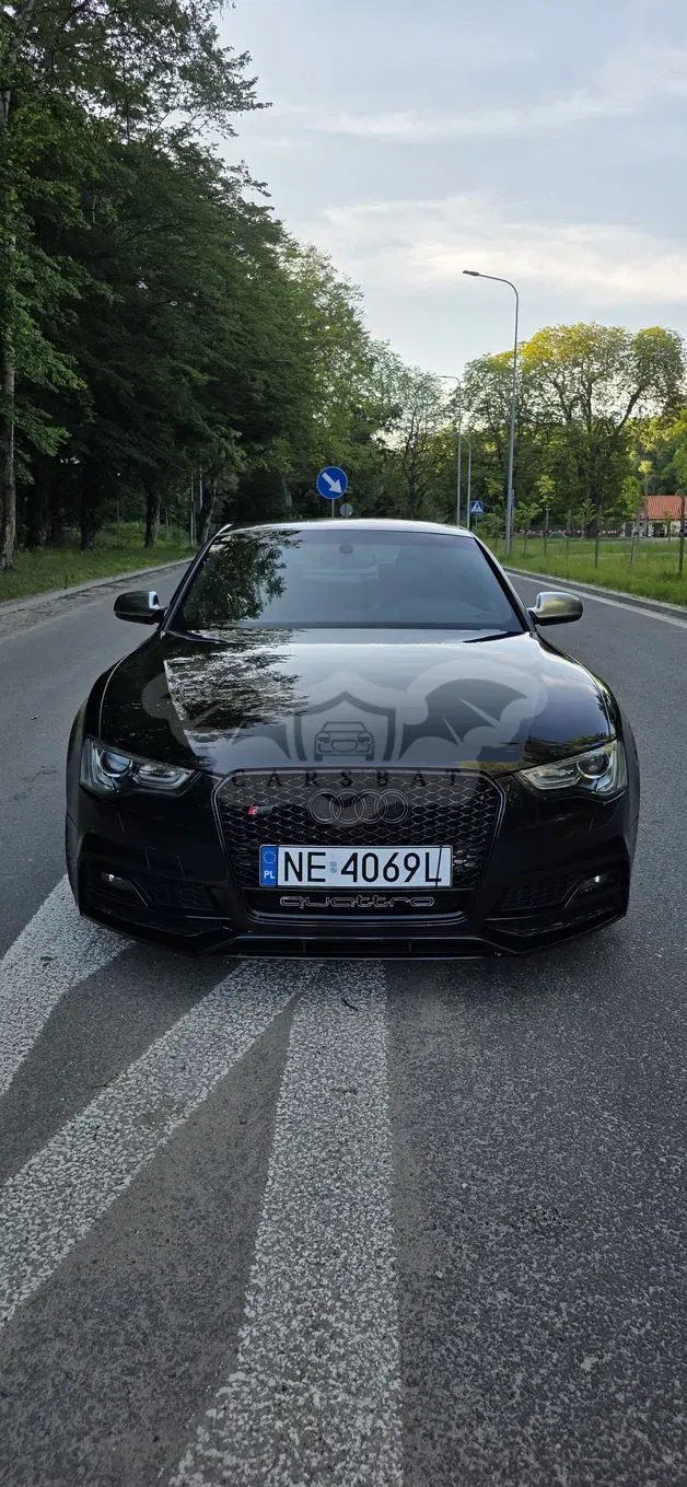 Audi S5 2014