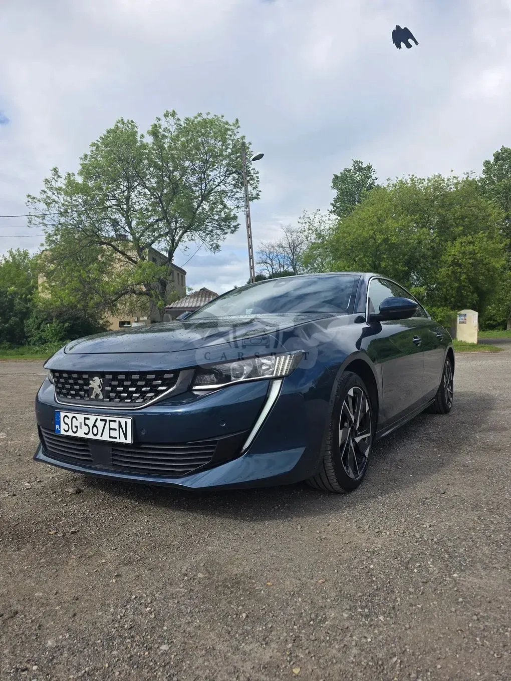 Peugeot 508 II (2018- ) 1.6 PureTech Allure Pack S&S EAT8 2019