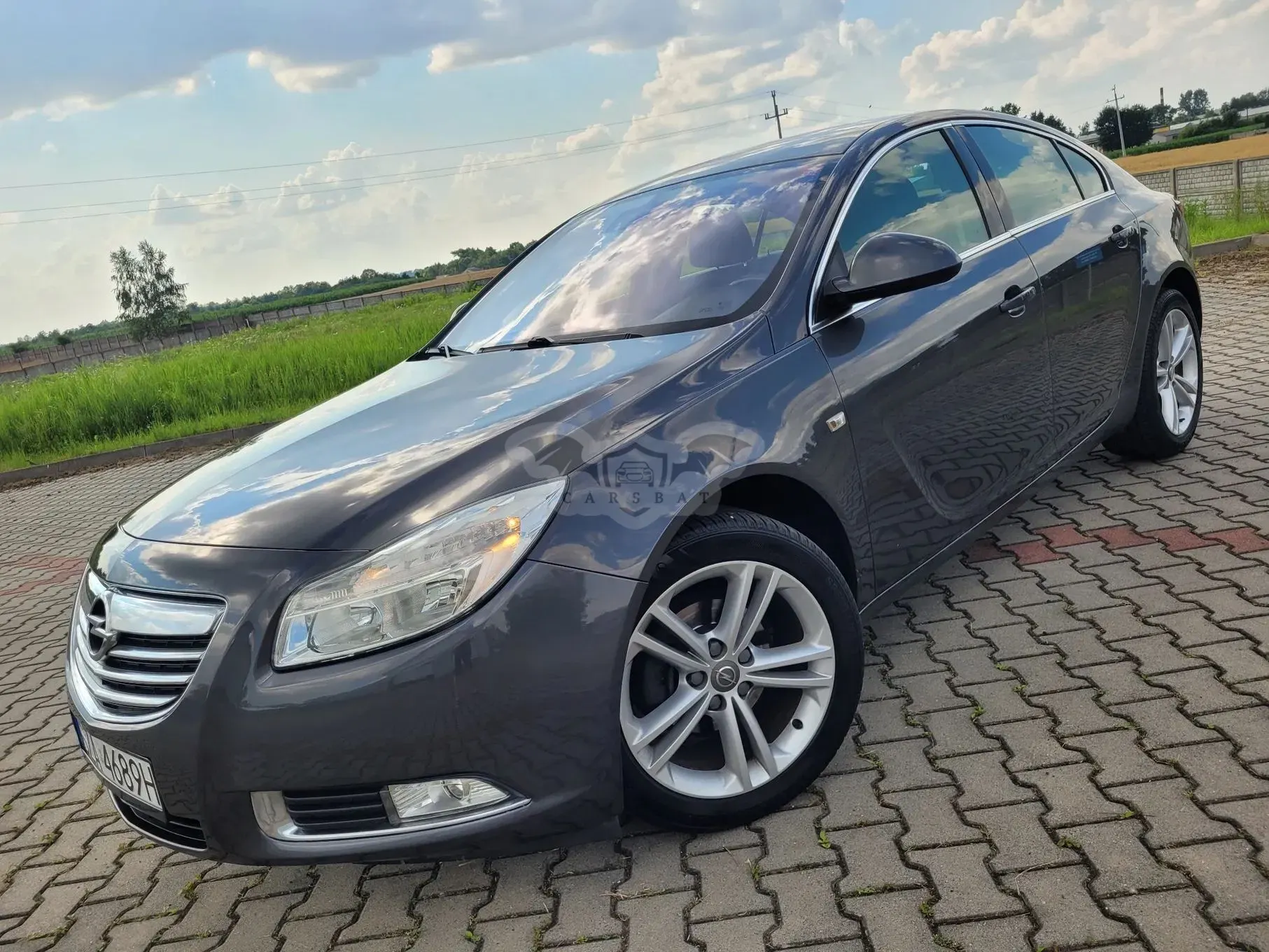 Opel Insignia A (2008-2017) 2010