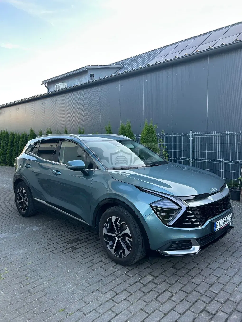 Kia Sportage V (2021-) 1.6 T-GDI MHEV Business Line 2WD DCT 2022