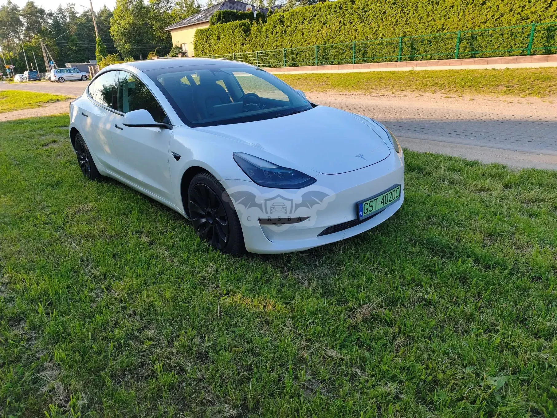 Tesla Model 3 2021