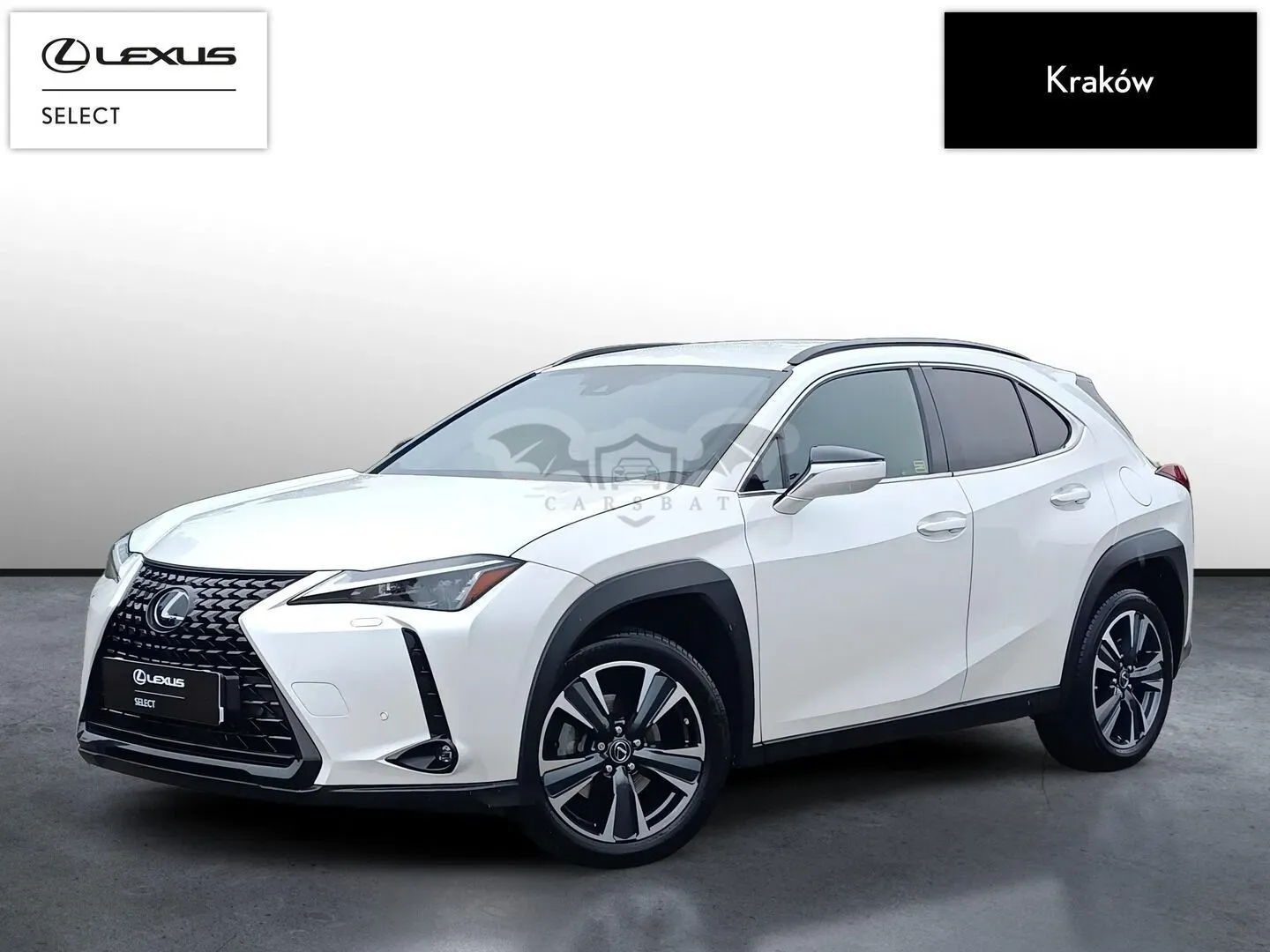 Lexus UX 250h GPF Business 2WD 2023